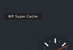 WP Super Cache plugin